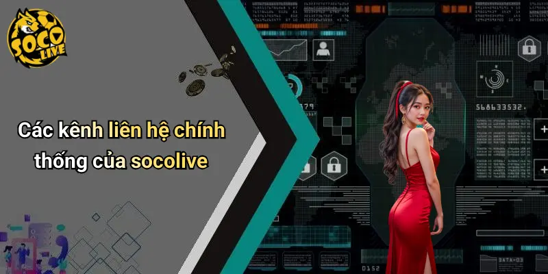 Liên Hệ 2 Liên Hệ