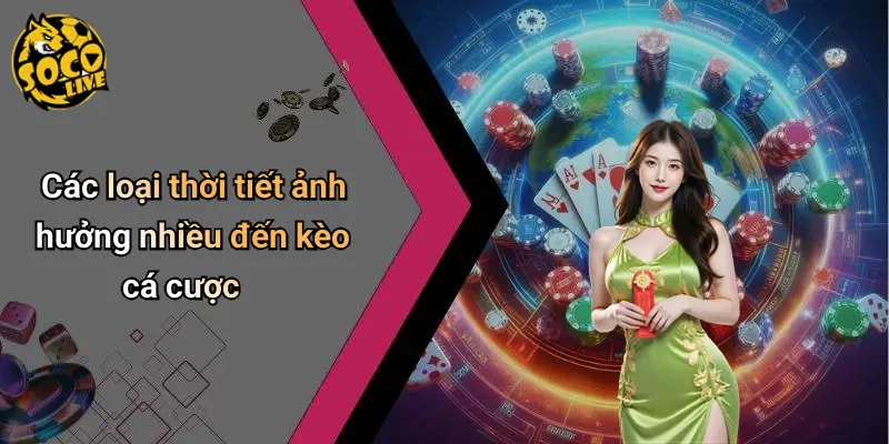 Mẹo Chọn Kèo Dựa Trên Thời Tiết Trận Đấu: Bí Quyết Bắt Chuẩn 2 Mẹo Chọn Kèo Dựa Trên Thời Tiết Trận Đấu