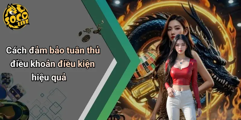 Điều Khoản Điều Kiện 4 Điều Khoản Điều Kiện
