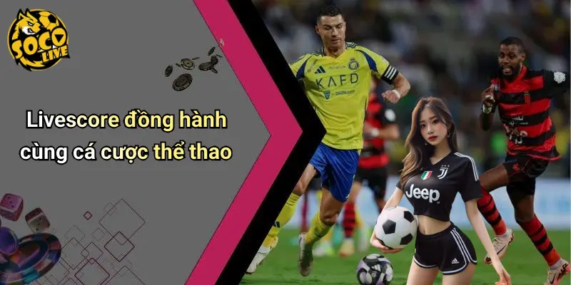livescore 54 Livescore