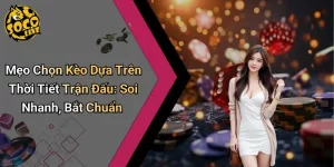 Mẹo Chọn Kèo Dựa Trên Thời Tiết Trận Đấu