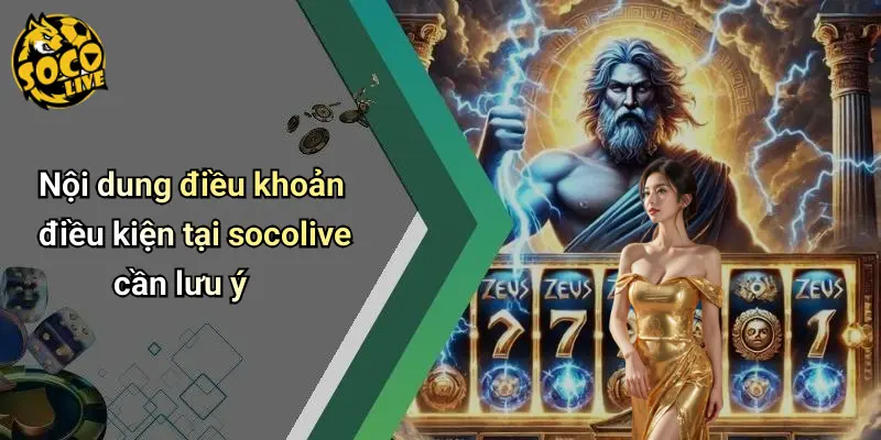 Điều Khoản Điều Kiện 2 Điều Khoản Điều Kiện