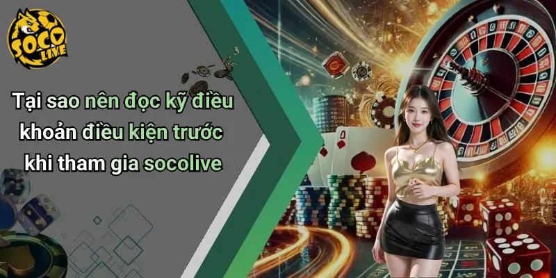 Điều Khoản Điều Kiện 1 Điều Khoản Điều Kiện