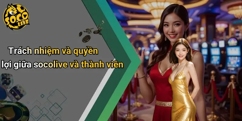 Điều Khoản Điều Kiện 3 Điều Khoản Điều Kiện