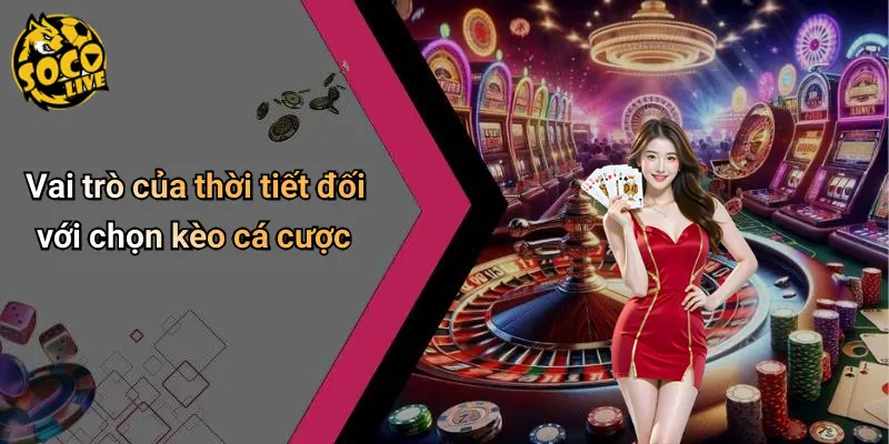 Mẹo Chọn Kèo Dựa Trên Thời Tiết Trận Đấu: Bí Quyết Bắt Chuẩn 1 Mẹo Chọn Kèo Dựa Trên Thời Tiết Trận Đấu