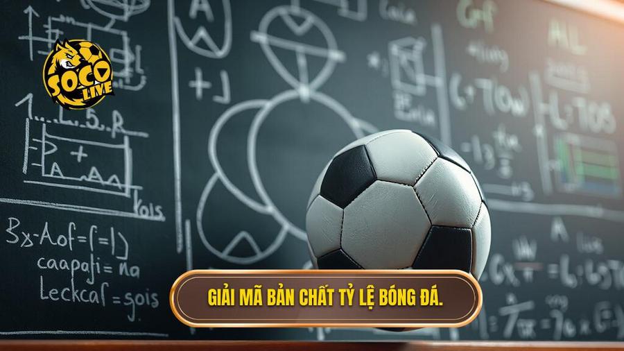 1. Giải mã bản chất tỷ lệ bóng đá.