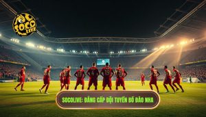 Đội tuyển Bồ Đào Nha mạnh thế nào? Phân tích chiều sâu sức mạnh của Selecao Châu Âu