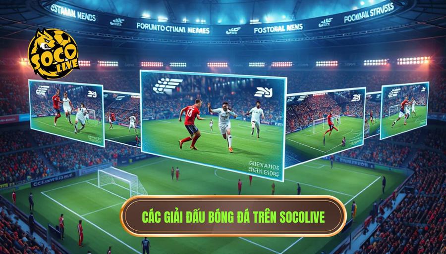Các giải đấu bóng đá trên Socolive